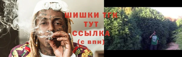 прущие грибы Балахна