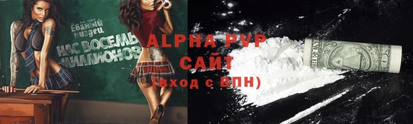 прущие грибы Балахна