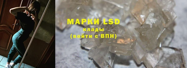 прущие грибы Балахна